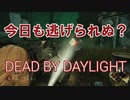 【PS4】今日も逃げられぬ？Dead by Daylight実況 #11