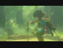 【ゼル伝BotW】100年の眠りから目覚めた勇者の冒険８６【もちまる】