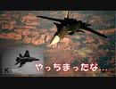 Ace Combat 7 Multiplayer280  バトルロイヤル  MiG-31B