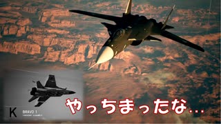 Ace Combat 7 Multiplayer280  バトルロイヤル  MiG-31B