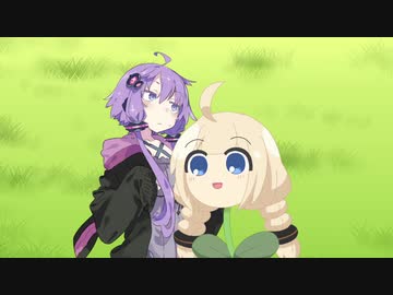 ゆかりさんの家庭菜園