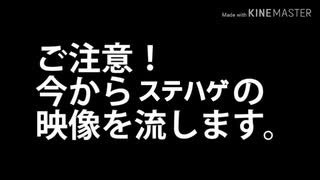 ステハゲ　スーツ　ひとくち動画「小海線の害虫ステハゲ」