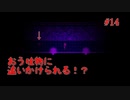 【殺戮の天使】トラウマ注意！謎の物体から逃げきれ！【#14】
