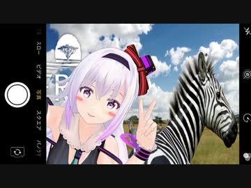 治療用カルロピノちゃん鼻歌ループ