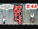 　【Hollow Knight】虫嫌いのホロウなナイト#44