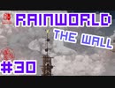 命がけのサバイバル！RainWorld実況するで#30【Switch/日本語版】