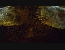 Cola Bubbles Close Up 　松本智幸