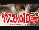 うりこさんの10日間 - 2019#20