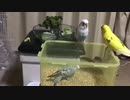 学習しないのは・・・