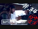 【DaysGone】ヘタレゴーン【初見実況】#.34