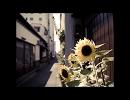 【歌ってみた】　君と向日葵/175R　歌い主snow