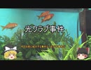 【闇金東大生】 光クラブ事件 【ゆっくり事件簿3】