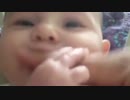 厳選 癒やし動画