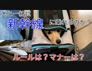 【検証】犬と一緒に新幹線って乗れるの？(YouTubeで『てぃかし 』を検索)