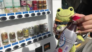 人気の かえるのピクルス 動画 13本 ニコニコ動画