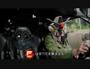 【EXVS2】ポジックス成就のために！