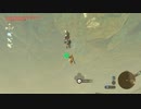 タバンタ大橋から馬に乗ったＮＰＣを馬ごと落としてみた