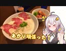 気晴らしのぽけっと旅　 【紲星あかり車載】　　谷瀬のつり橋