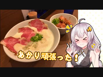 気晴らしのぽけっと旅　 【紲星あかり車載】　　谷瀬のつり橋