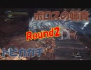 【モンハンワールド】第36話 特殊闘技場：飛雷竜編【徳用折紙】