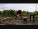 DESTRUCTION　｢TOTAL DESASTER」　ベースで弾いたみたのオカマ
