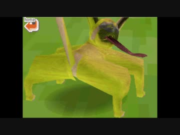 かわいいパグ動画