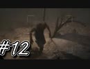 【Outlust2】恐怖のカルト宗教の村での追いかけっこ　#12【ホラーゲーム実況】