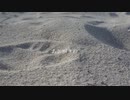 low meow　「あとがきの」　feat.MAYU