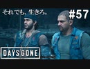 #57【DAYS GONE】迫るカルロスとの直接対決！リッパー本拠地を制圧せよ！【ゆっくり実況】