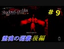 【実況】影の回廊に迷い込んだわかじょん　＃９ 霊魂の淵叢後編