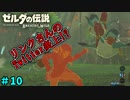 【続編決定記念】のんびりと伝説「ゼルダの伝説～ブレスオブザワイルド～」　＃10