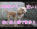 【公園散歩】水族館、カフェ、レストラン意外と色々ある！京都の梅小路公園