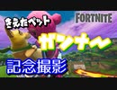 【フォートナイト】シーズンX消えたペット