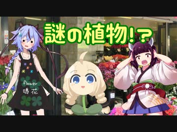 【第五回ひじき祭】花屋鳴花と物知りきりたんとナゾノクサ