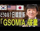 【教えて！ワタナベさん】韓国GSOMIA破棄で日本に影響は？米国が失望する「コレグジット」[桜R1/8/24]