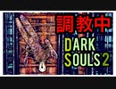 【ダークソウル2】君、両手で盾を構えたら最強なんじゃないか？-鏡の騎士戦-【初見実況プレイ#27】