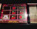【メダルゲーム】―WINNER'S CLUB WILD ROSES―【1輪2FG】