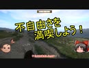【ゆっくり】不自由を満喫する！キングダムカムデリバランス【ダイマ】