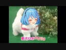 愛犬ロボ「ちつ」