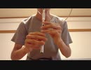 【クロノトリガー】やすらぎの日々〈ティンホイッスルで演奏してみた〉/Caprice Minstrel