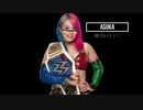 (WWE)2016-2019までの歴代女子王者(SD女子王座)