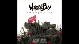 MRRer_Town☆.Wonder Boy