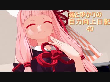 【DDR】葵とゆかりの自力向上日記40～花火とビキニは夏の風物詩?～