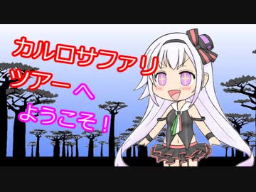 【アイドル部】カルロサファリツアーへようこそ【カルロ・ピノ】
