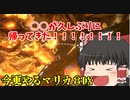【マリオカート８デラックス】今更やるマリカ8DX#9