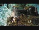 Vindictus - ギルドラン！