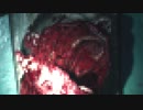 【夏】BIOHAZARD RE:2 PART3【ホラー】