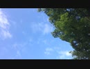SKY : 青空 : 2019/Aug/18-24 : 2019年8月18日(日)-24日(土)