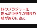 【2ch】妹のブラジャーを盗んだ中学生が捕まり親が謝りにきた