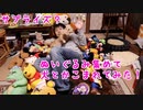 サプライズ？全員集合！家の中のぬいぐるみ集めて囲んで愛犬を喜ばせてみた(YouTubeで『ワンチュー犬』を検索)